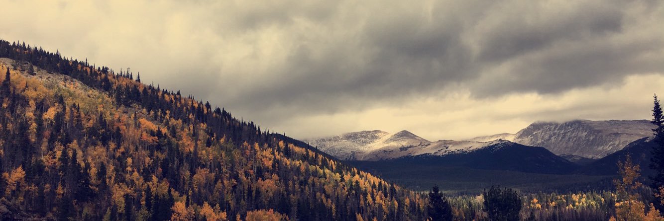 JessicaAnnee16's profile banner image