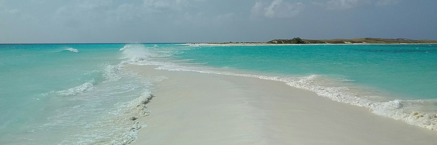 thepater's profile banner image