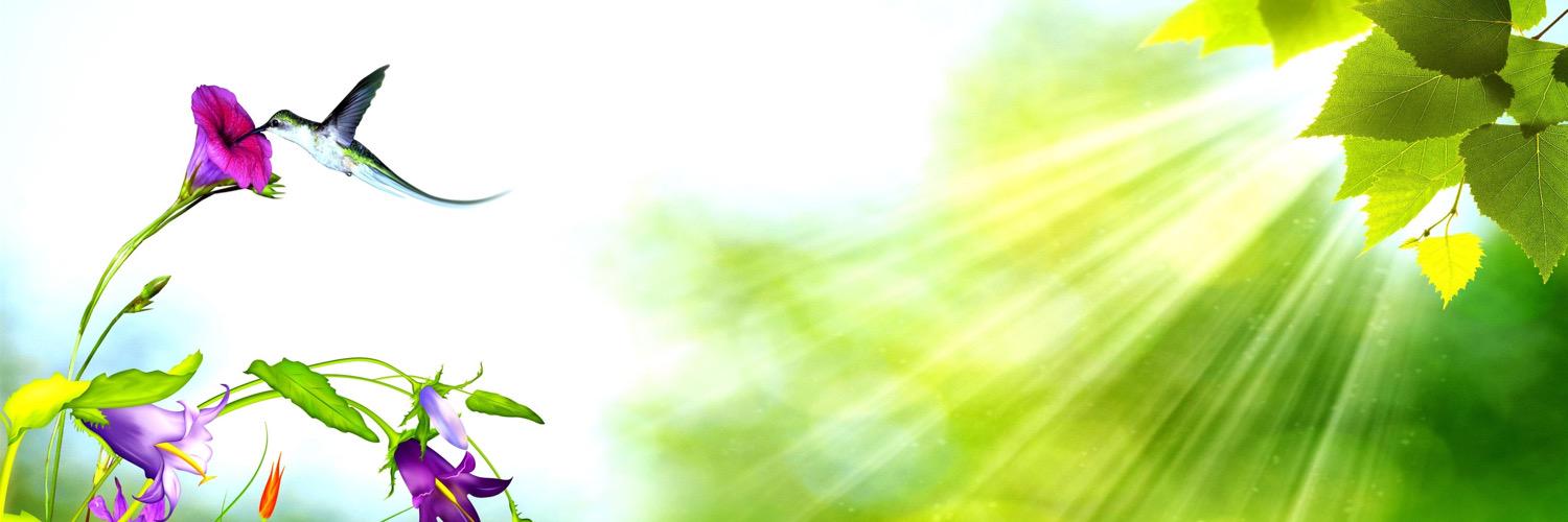 KStaley_2010's profile banner image
