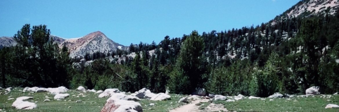 thúy lani's banner
