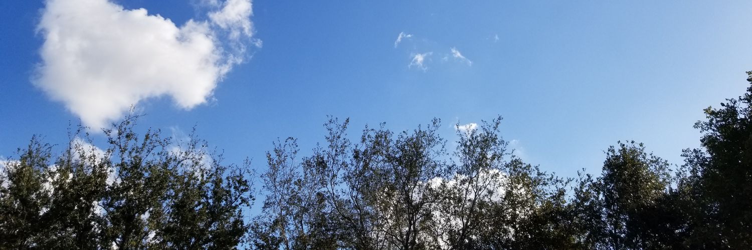 guillermayo's profile banner image