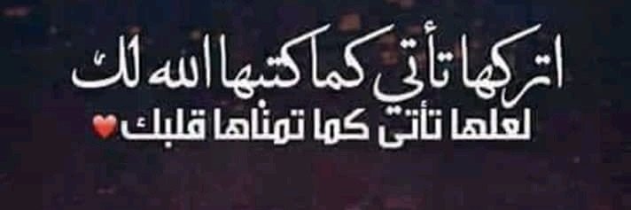 عزيز سبيع banner