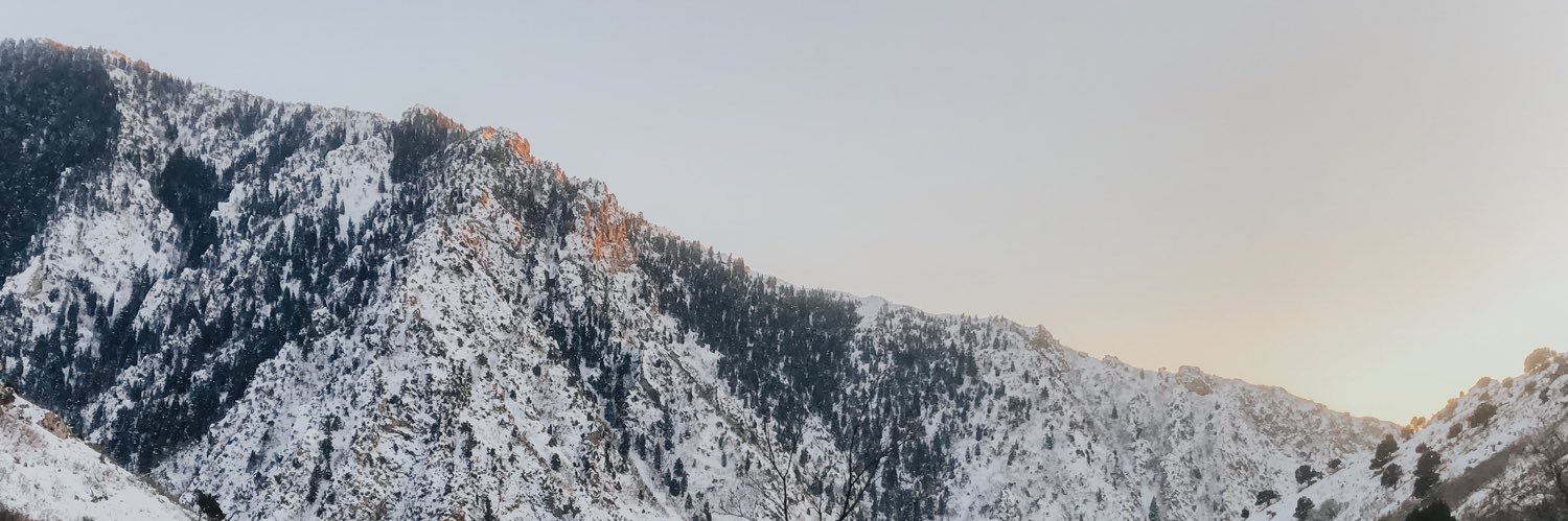 Alivia banner