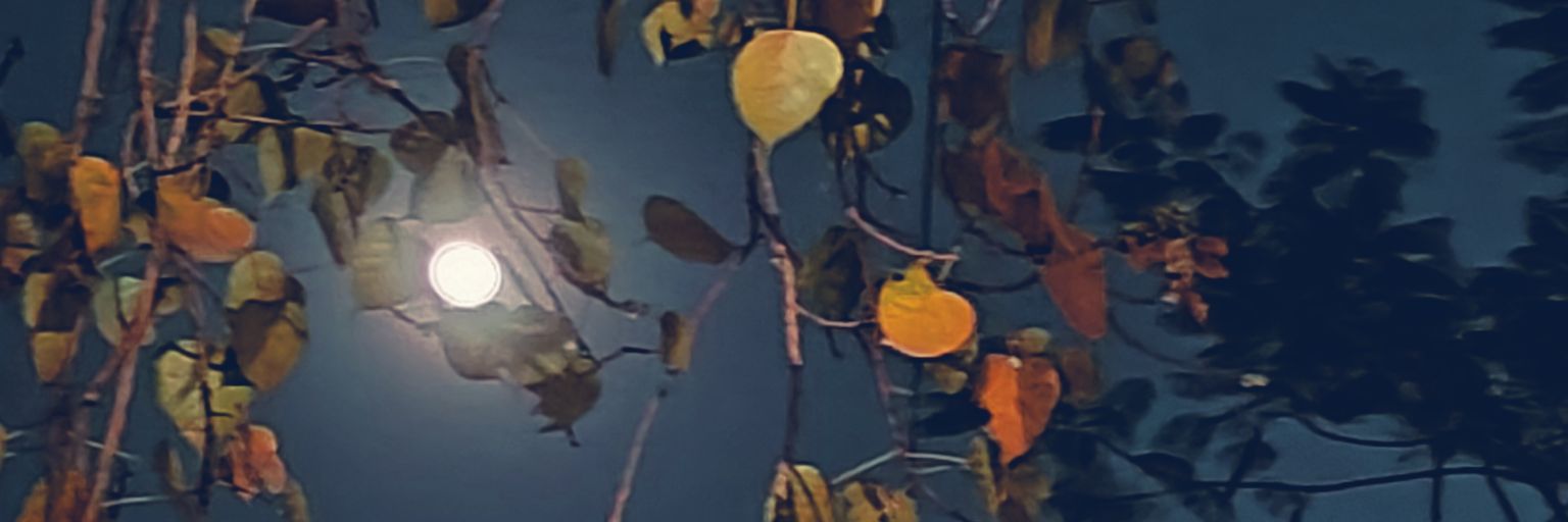 Swatikant's profile banner image