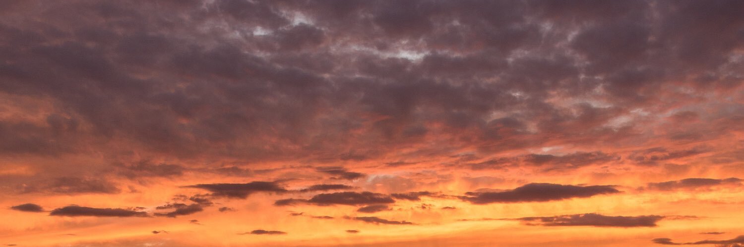 MonicaBVM3's profile banner image