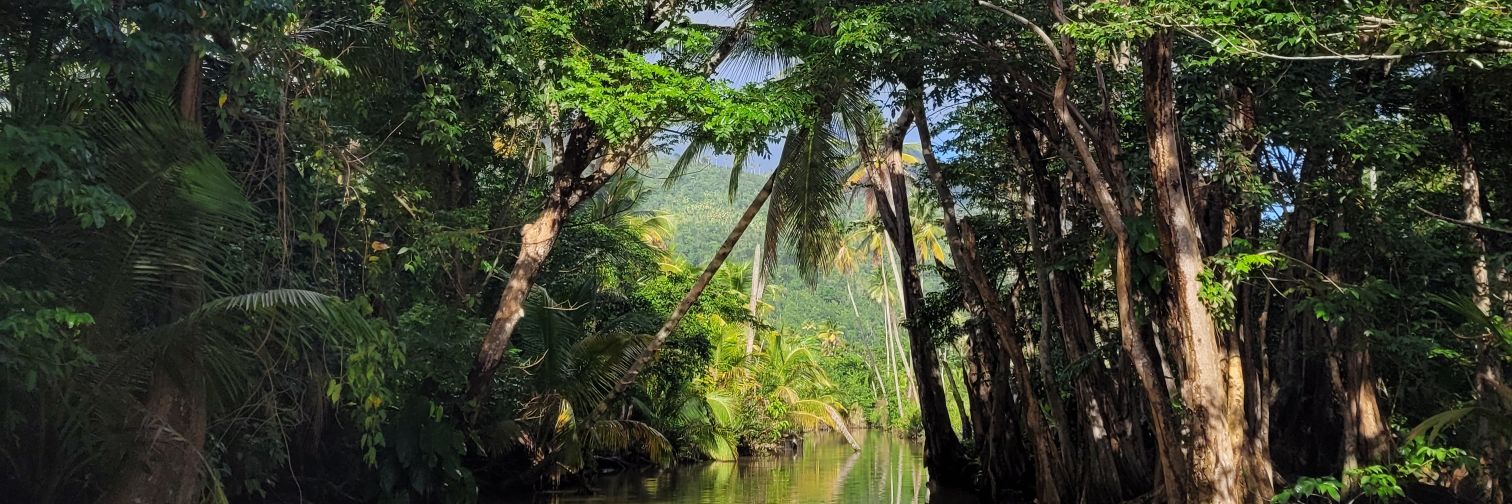 Micamilli 🇩🇲 banner