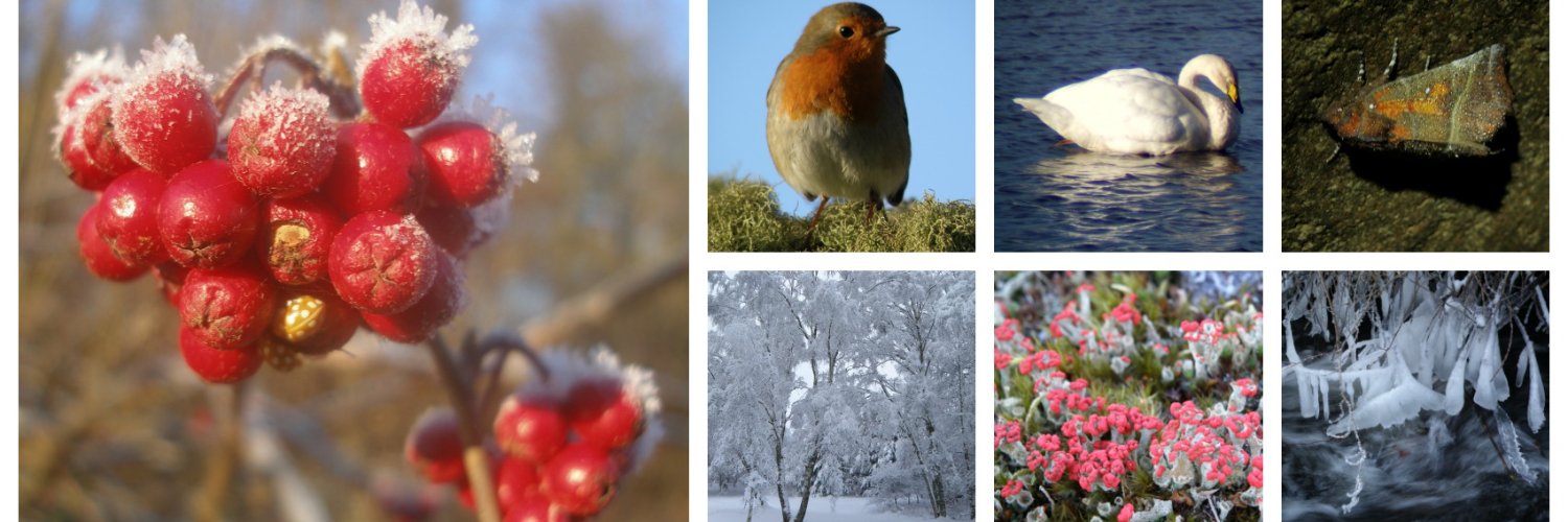 Aberdeenshire Council Ranger Service banner