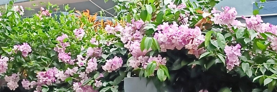 EmKay's banner