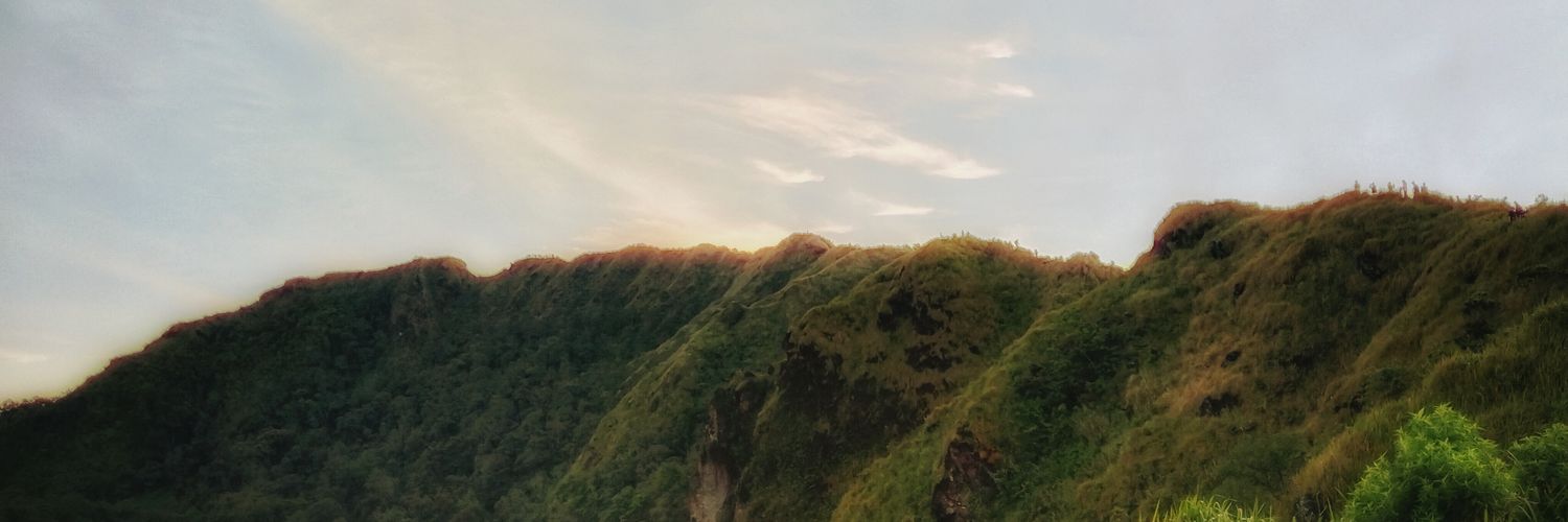 Fiii banner