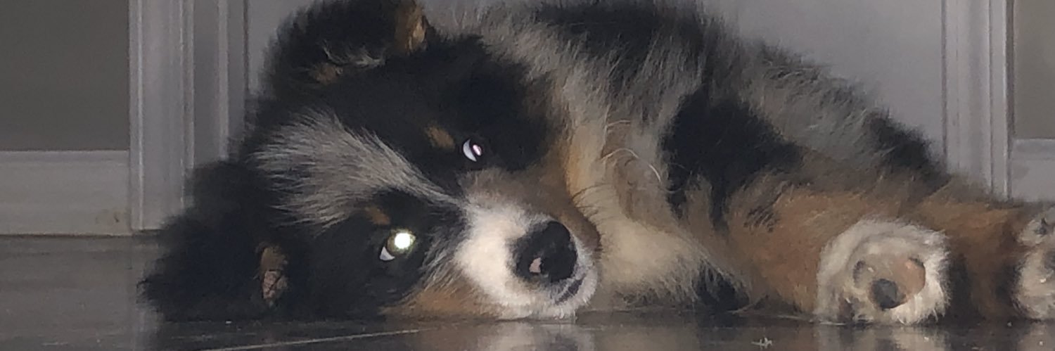 IRoblee23's profile banner image