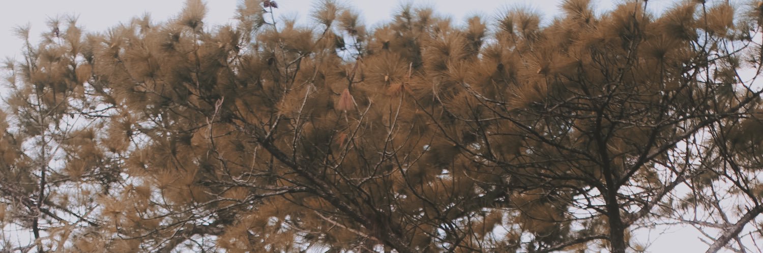 เบสิคยอด. banner