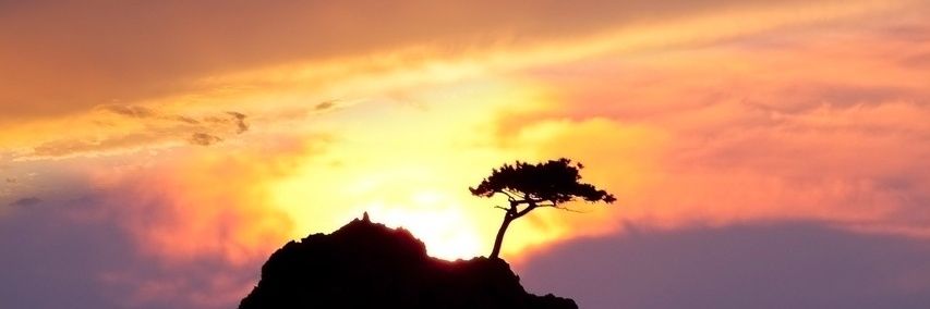 NataliCba's profile banner image