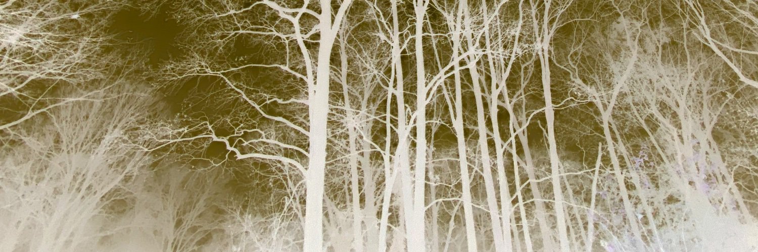 DepressionQuilt's profile banner image
