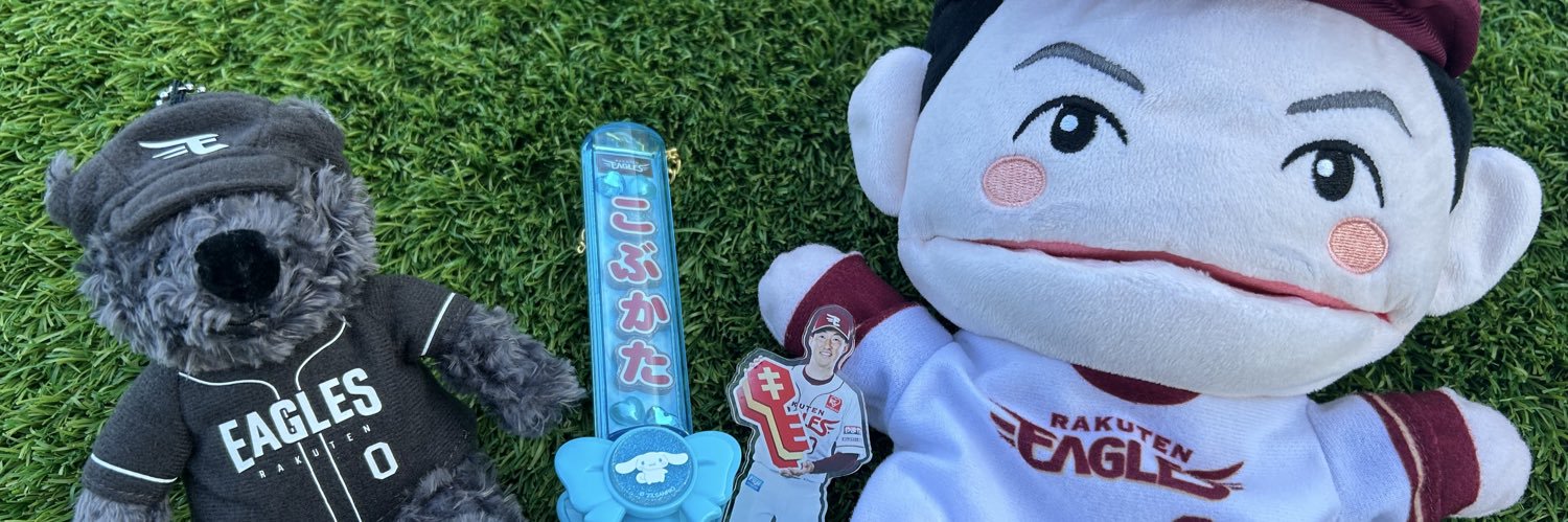 ｻﾔﾊﾟｶ🦙 banner