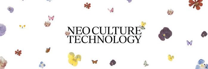 namellicano's profile banner image