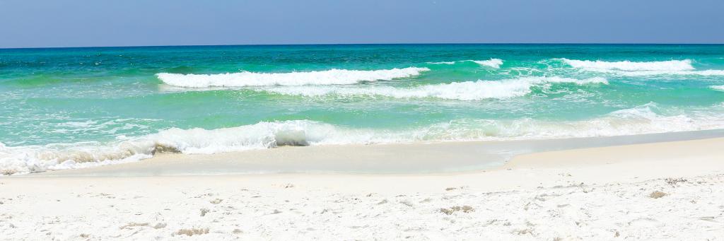 TampaBayBeachesChamber banner