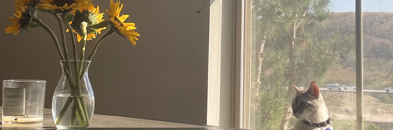 macbbc's profile banner image
