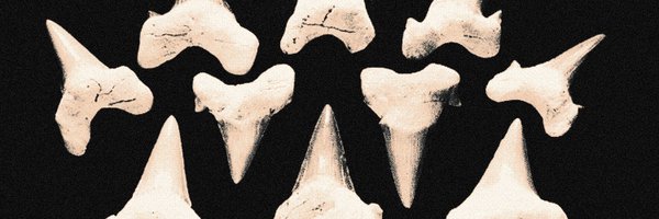 vvangore Profile Banner
