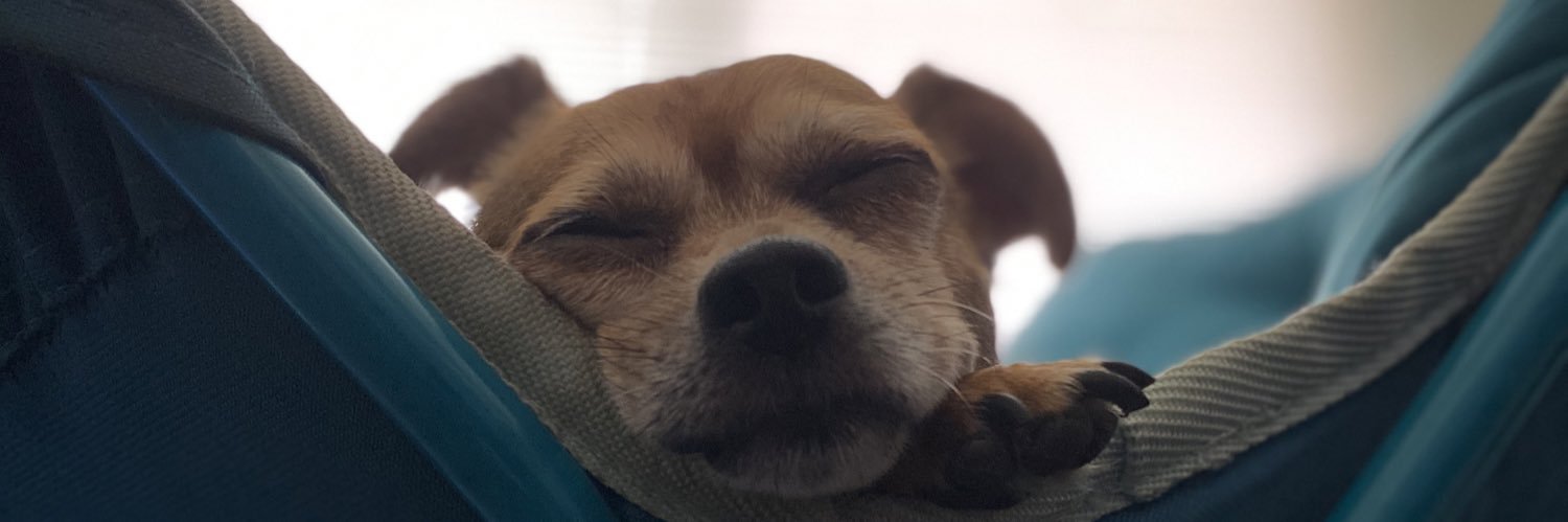 notmichelelee's profile banner image