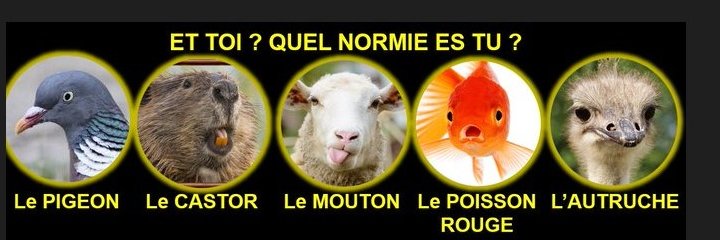 StPierret ⚜️🇨🇵💤🇫🇷🌿🕊🐓 ✝️✡️ banner