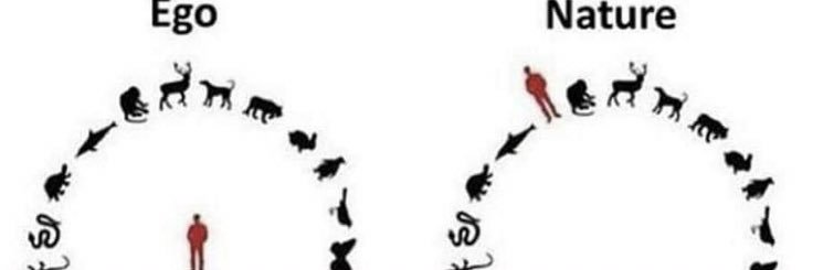 JCorignani's profile banner image