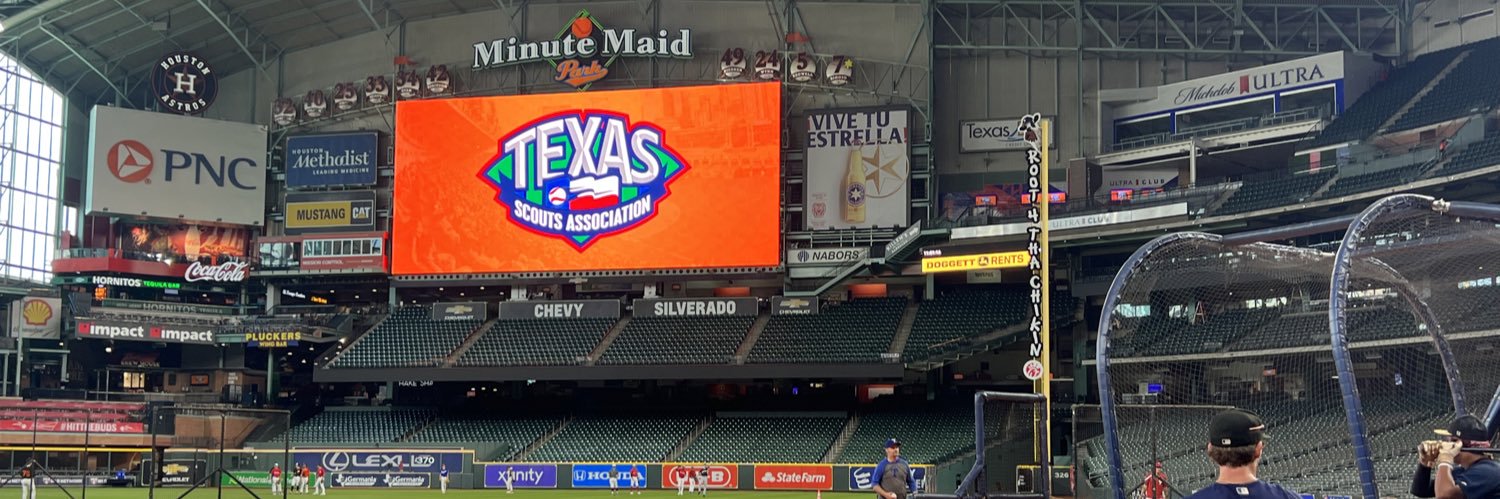 Texas Baseball Scouts Association's banner