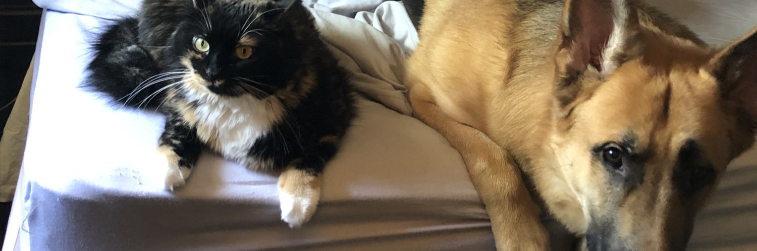 LHPNick's profile banner image