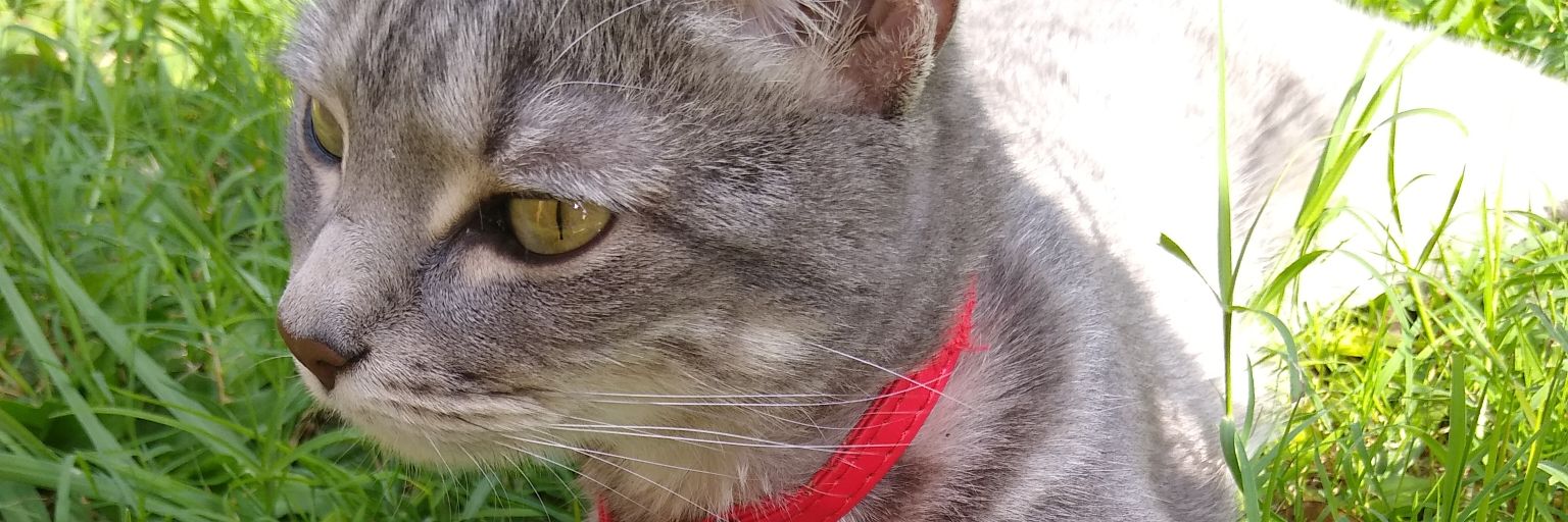 tamaRamirez14's profile banner image
