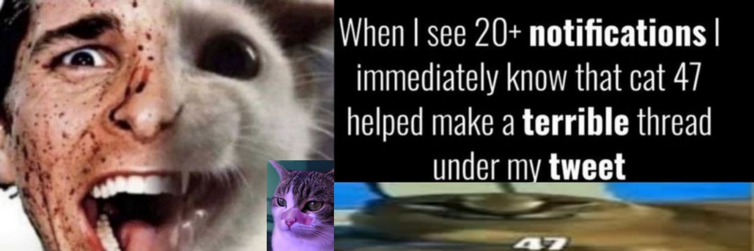 Cat-47's banner