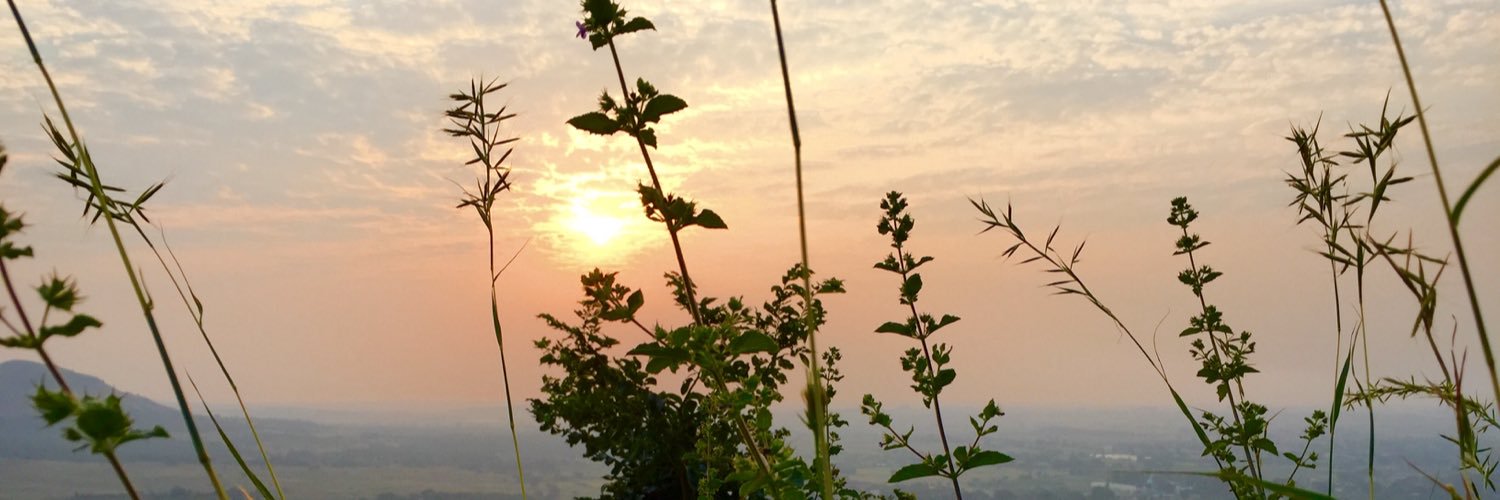 arsanjaypatil's profile banner image