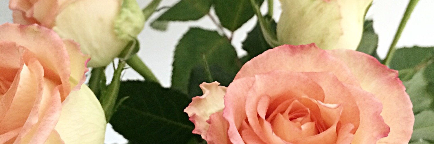 christinesyre's profile banner image