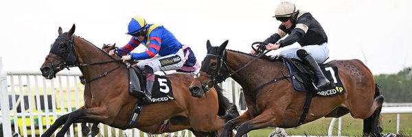 MaggsWilliam Profile Banner