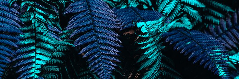 Lalaithx's profile banner image