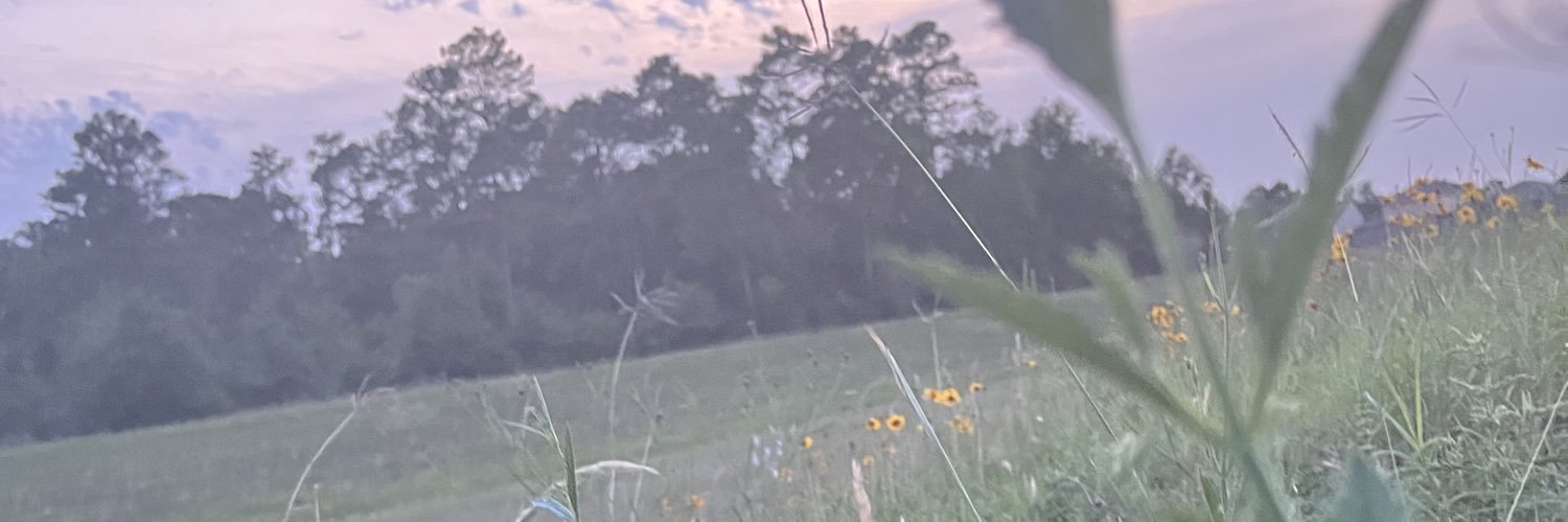 Jah banner