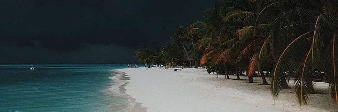 RedMay ( ) (WOW 🟣) banner