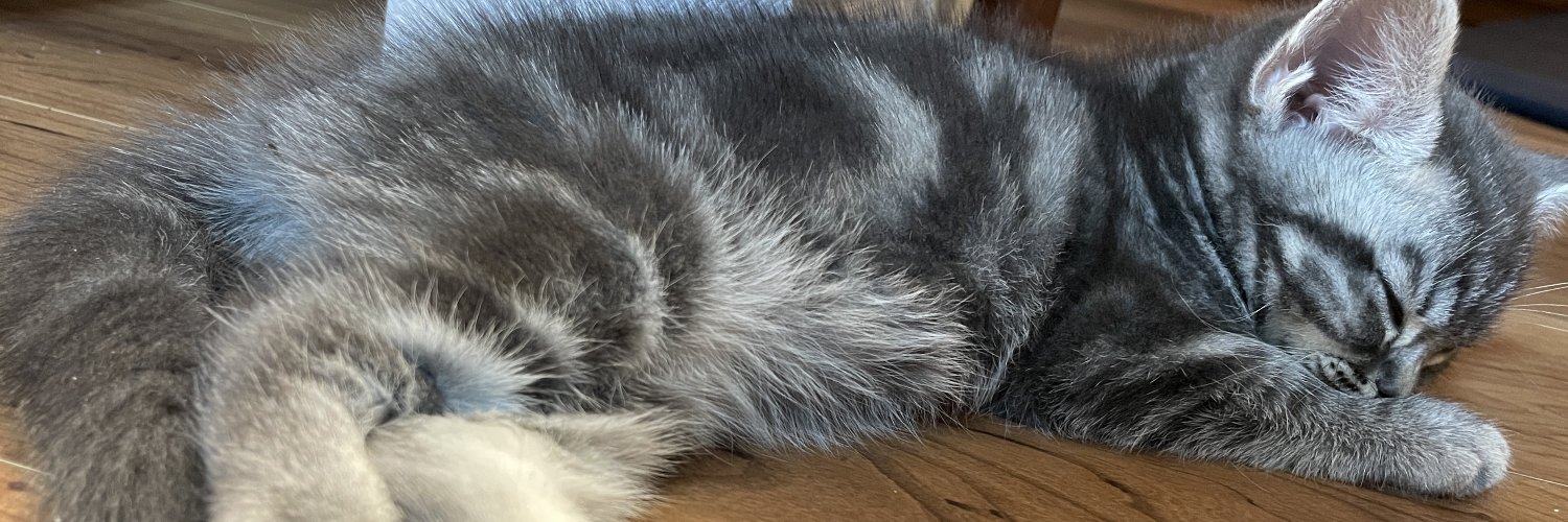 外道父 | Noko banner