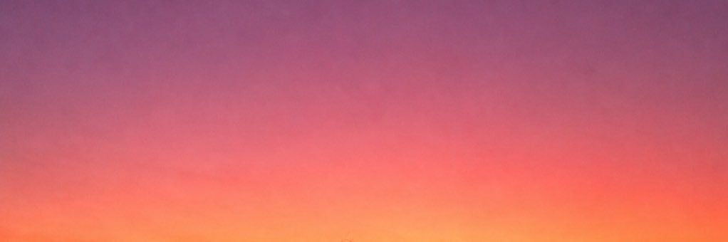 feervinas's profile banner image
