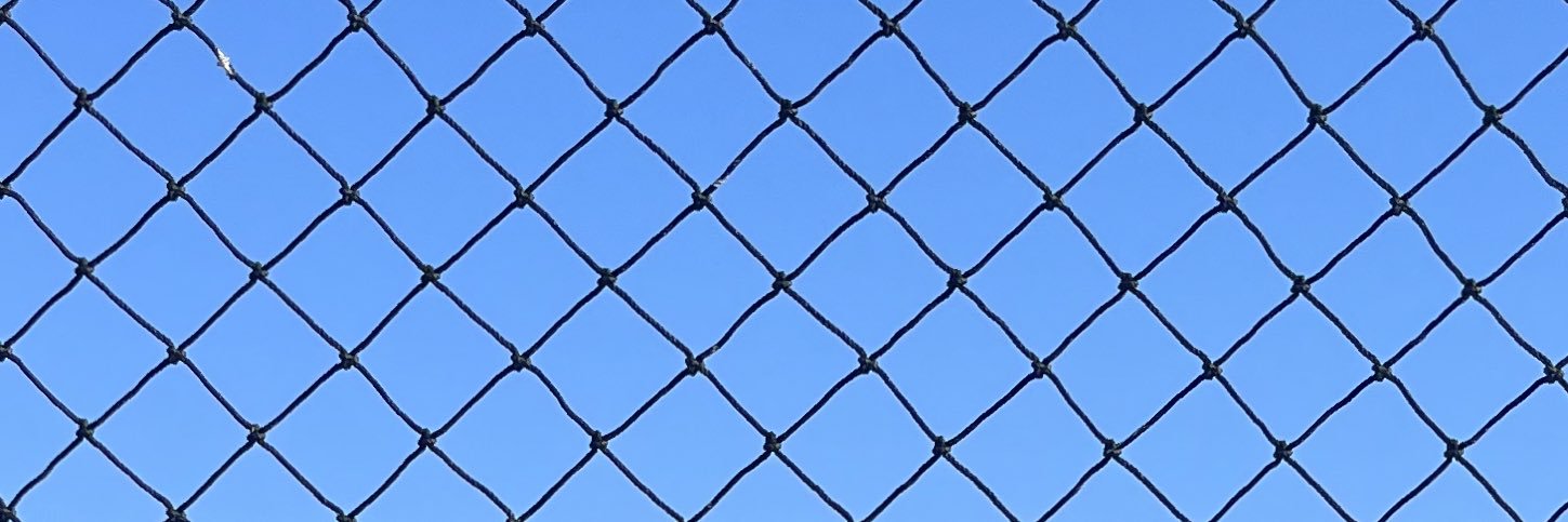 Braylen Collins banner