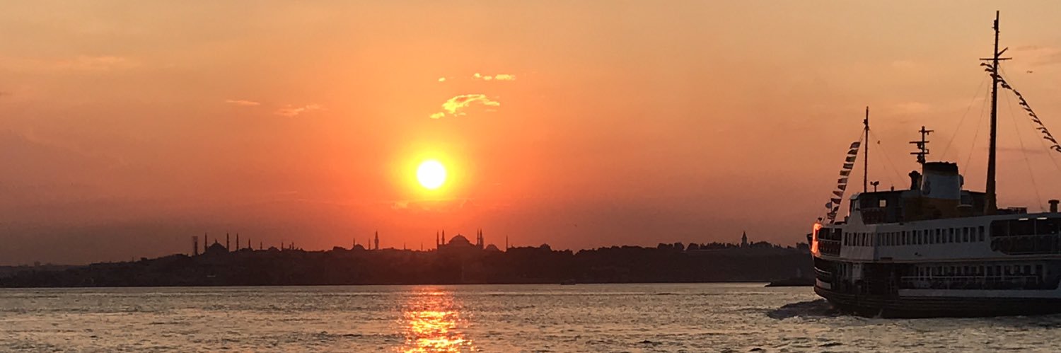 Geraldo De Martino banner