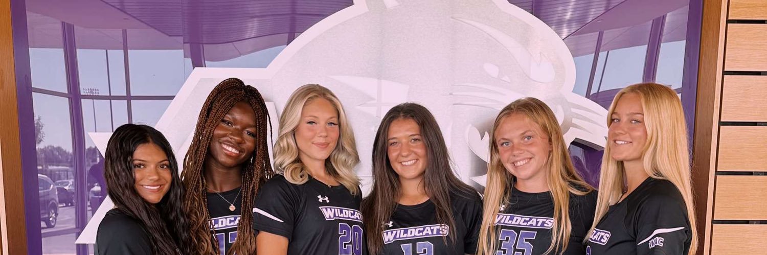 Brie Sauser banner