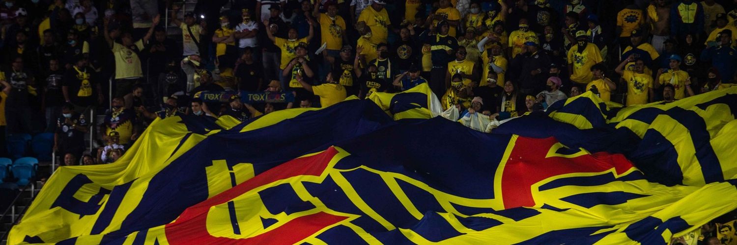 AzulcremaRoses's profile banner image