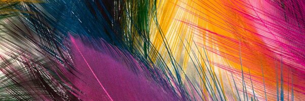moi_mircri Profile Banner