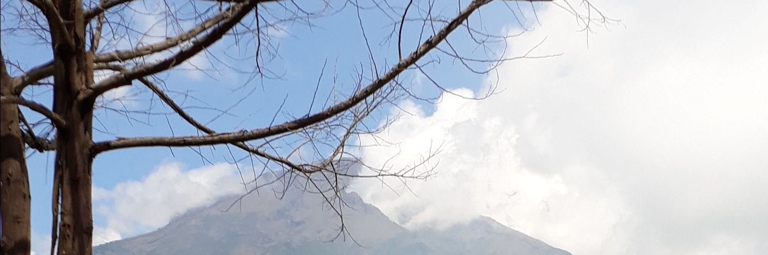 diamsdjna's profile banner image
