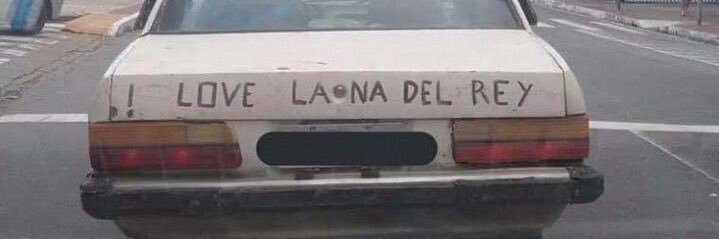 park ave pollyanna banner