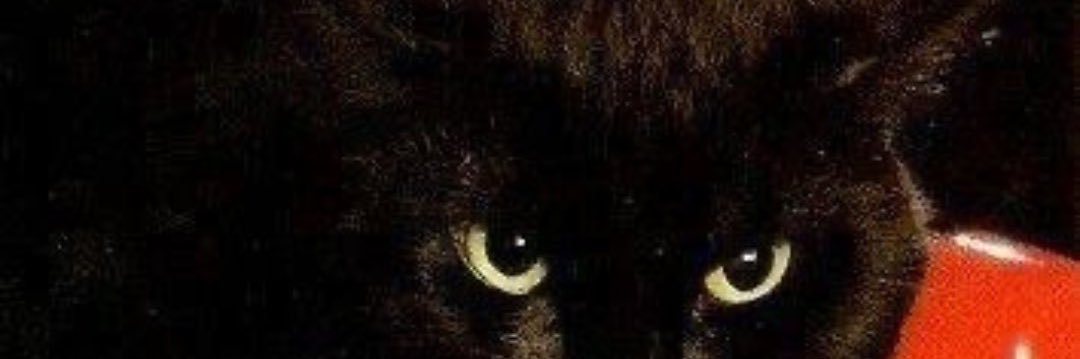 friiprii's profile banner image