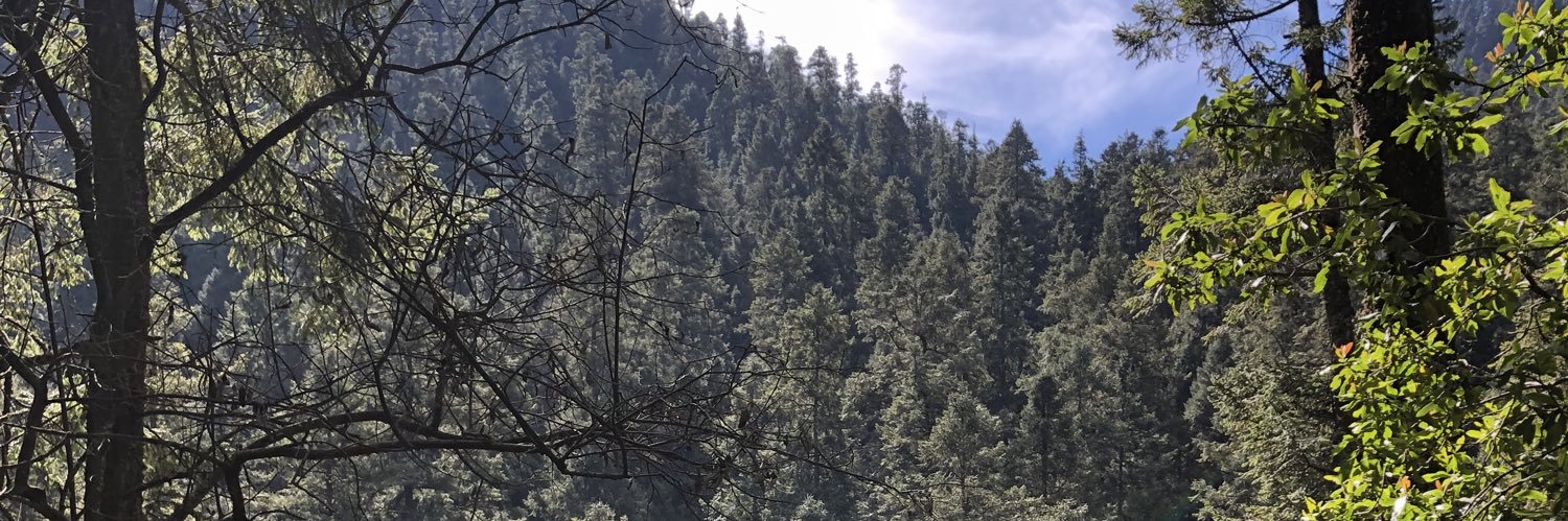 worm_land's profile banner image