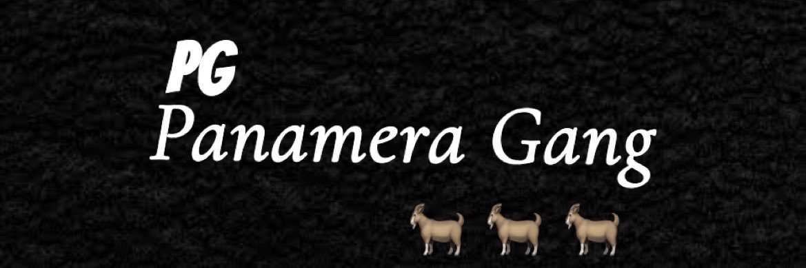 Zoolin_panamera banner