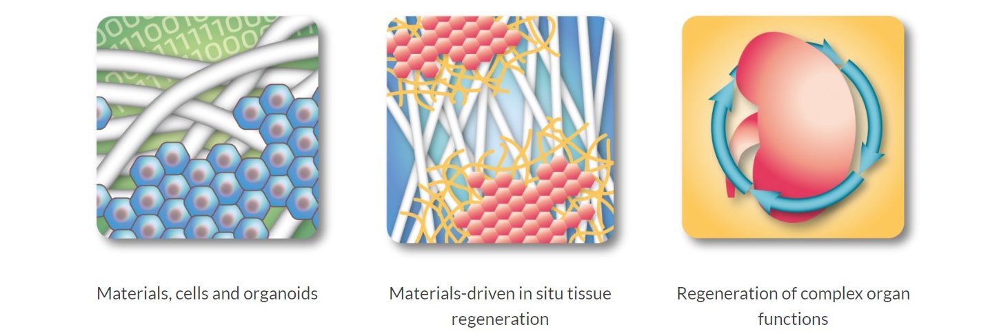 MDR Research Gravitation Program banner