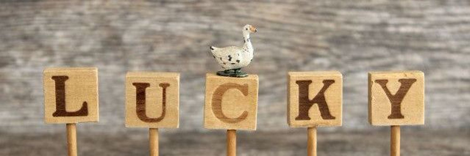 cotter_key's profile banner image