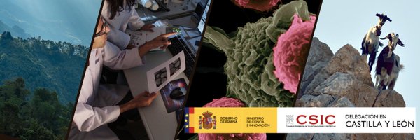 CSICCyL Profile Banner